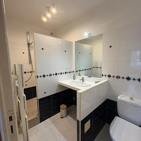 T3 Plein Centre Bord De Propriano (Corsica)