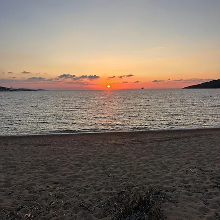 T3 Plein Centre Bord De Propriano (Corsica)