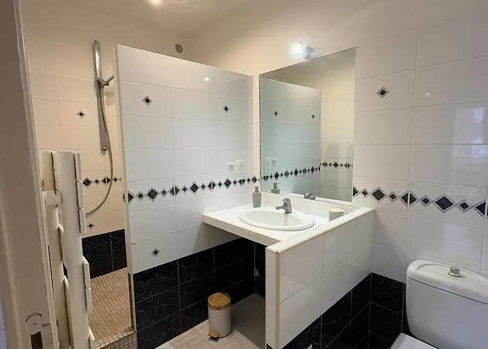 T3 Plein Centre Bord De Propriano (Corsica)