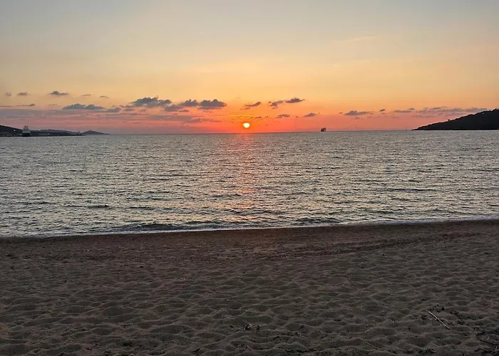 T3 Plein Centre Bord De Propriano (Corsica)